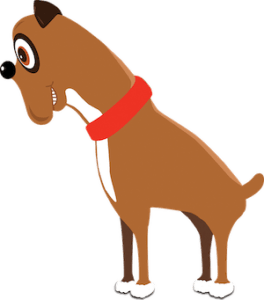 About – Colby’s Dog Care