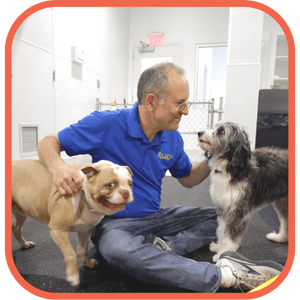 About – Colby’s Dog Care