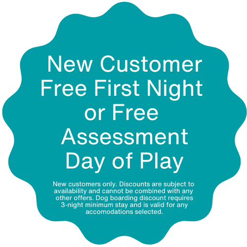 Free First Night or Assessment Button